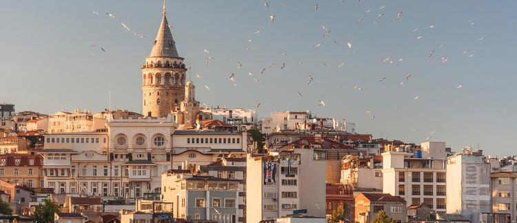 Employer of Last Resort as a new ‘New Deal’: A few thoughts on Turkey